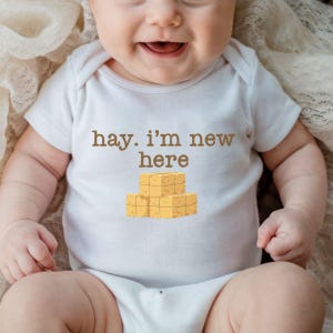 Farm Themed Baby Bodysuit, Chicken Lover Newborn Bodysuit, Farm Baby Bodysuit, Neutral Hay Baby Bodysuits, Baby Shower Gift for Minimalist