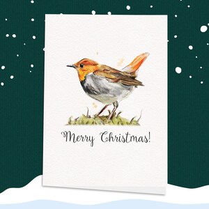 Robin de Natal! Cartão de Natal, Natal fofo, Cartão tradicional, Cartão para amantes de pássaros, Robin, Feliz Natal