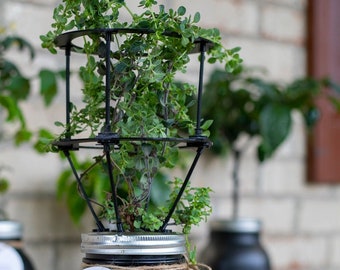 Mason Jar Plant Support Halo*