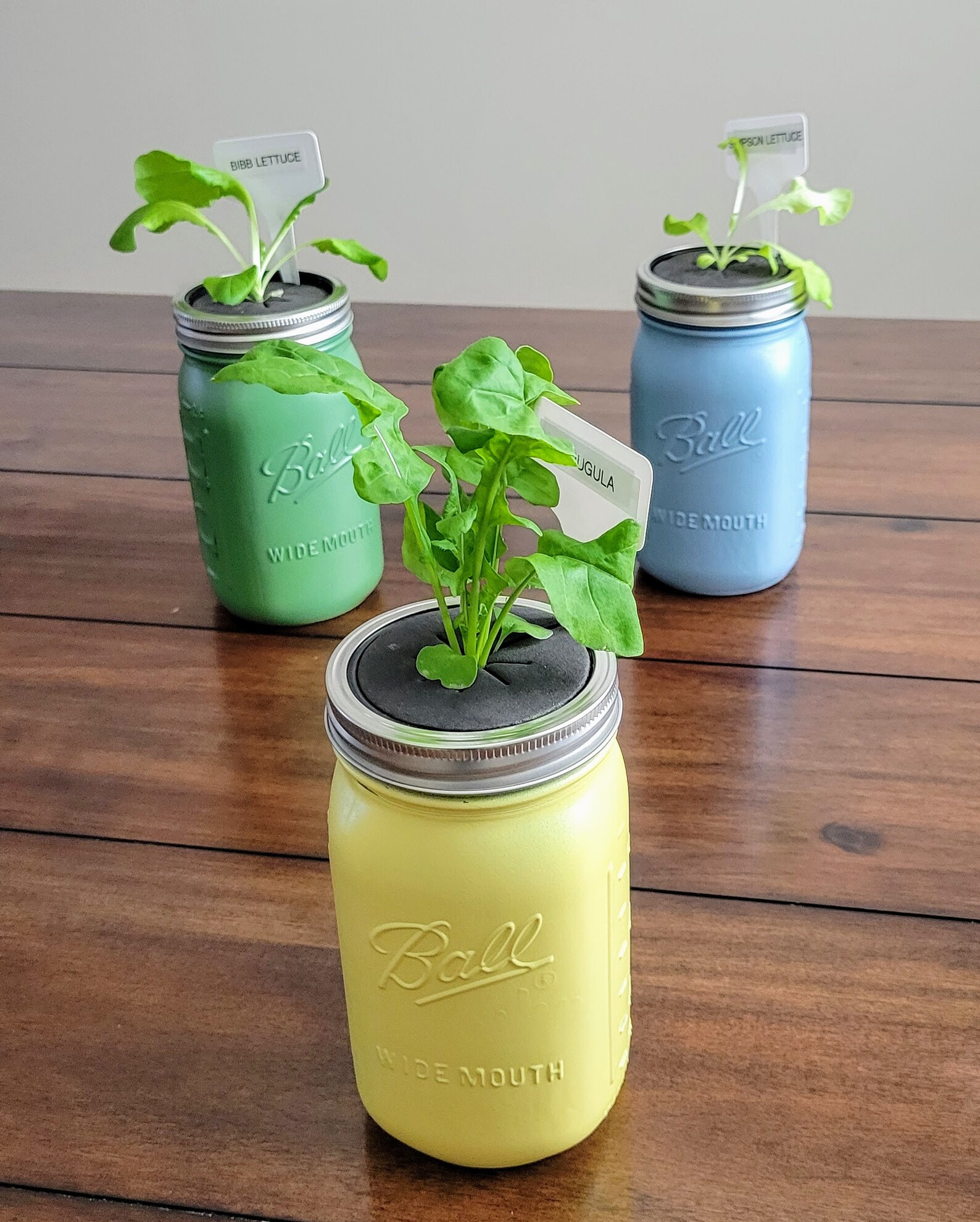 Hydroponic Mason Jar Planter Easter Set Etsy