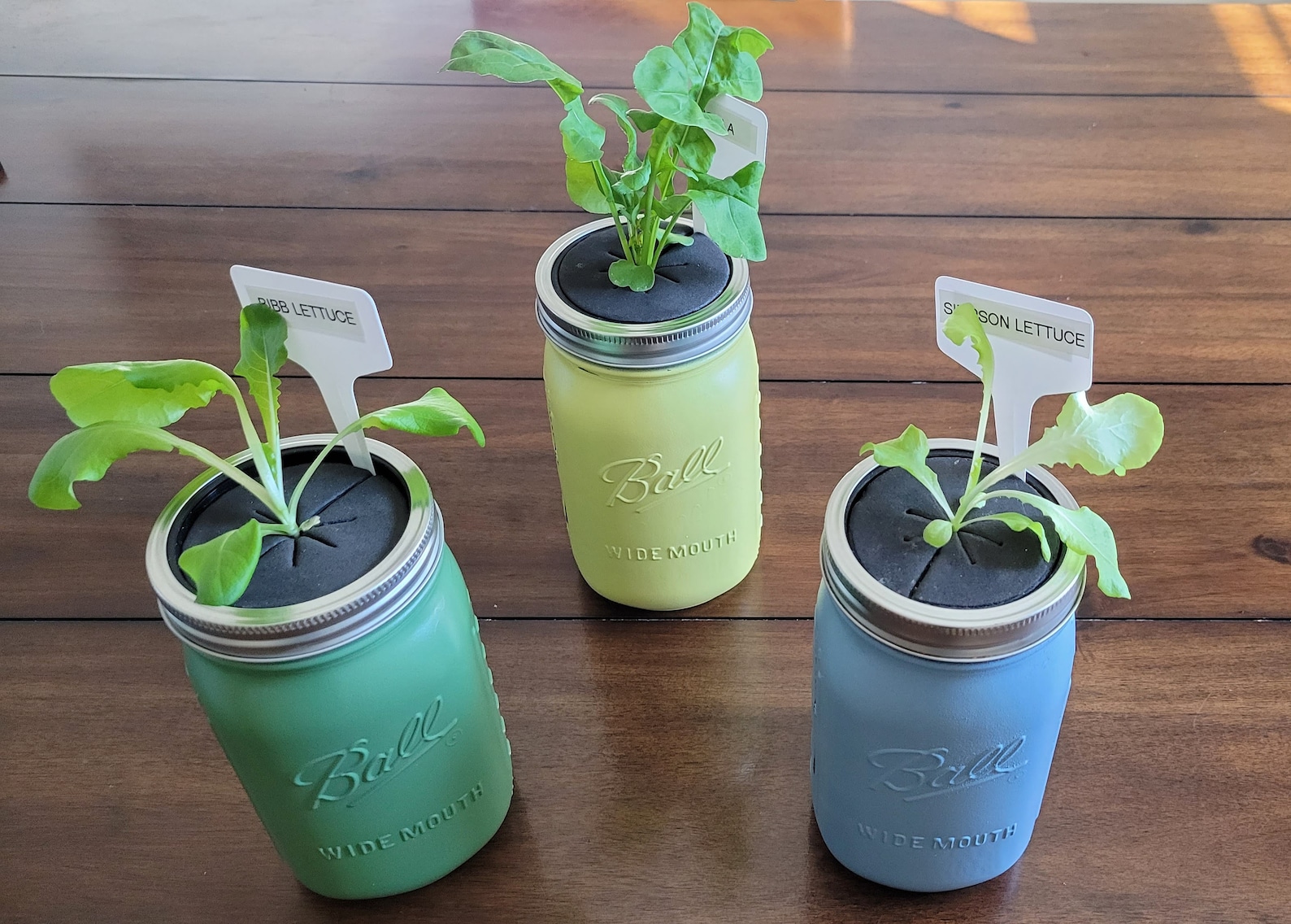 Hydroponic Mason Jar Planter Easter Set Etsy