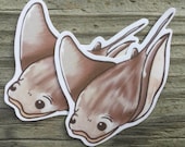 Waterproof Stingray Sticker Sea Creatures, Underwater, Laptop Sticker, Bumper Sticker, Mug, Cup, Journaling, Scrapbooking, Vinyl, Decal