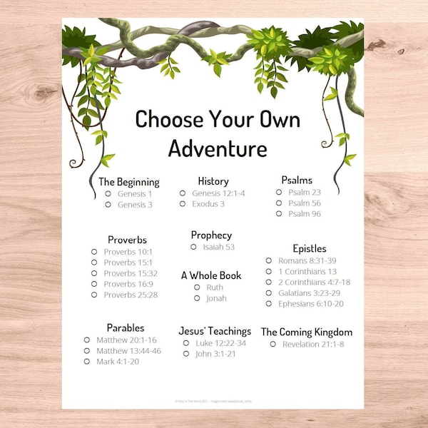 Kids Bible Reading Plan: Choose Your Own Adventure / Family Devotions / Christian homeschool / kids Bible study / instant digital download