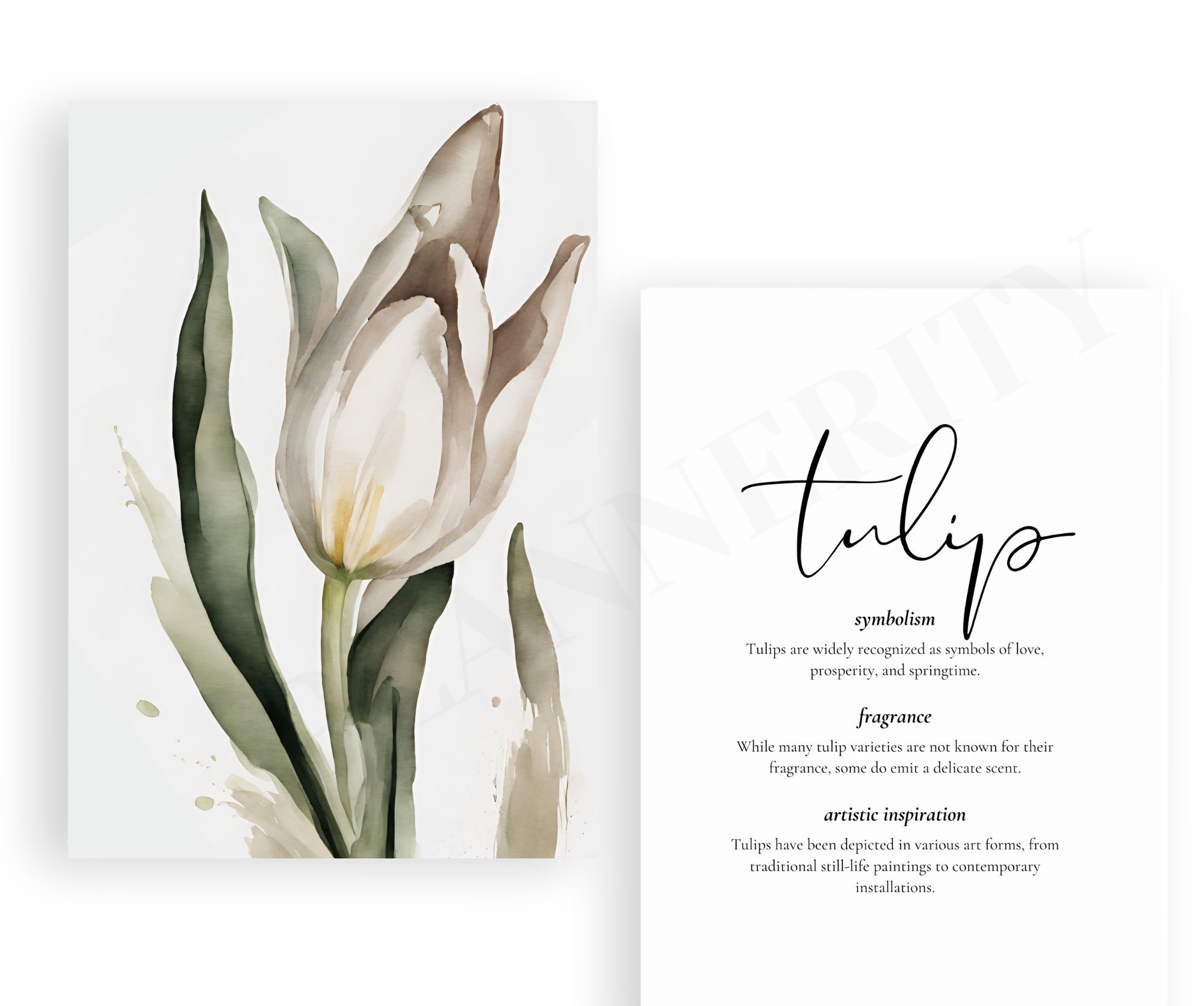 Floral Printable Planner Dashboard Bundle (digital Download) - Etsy