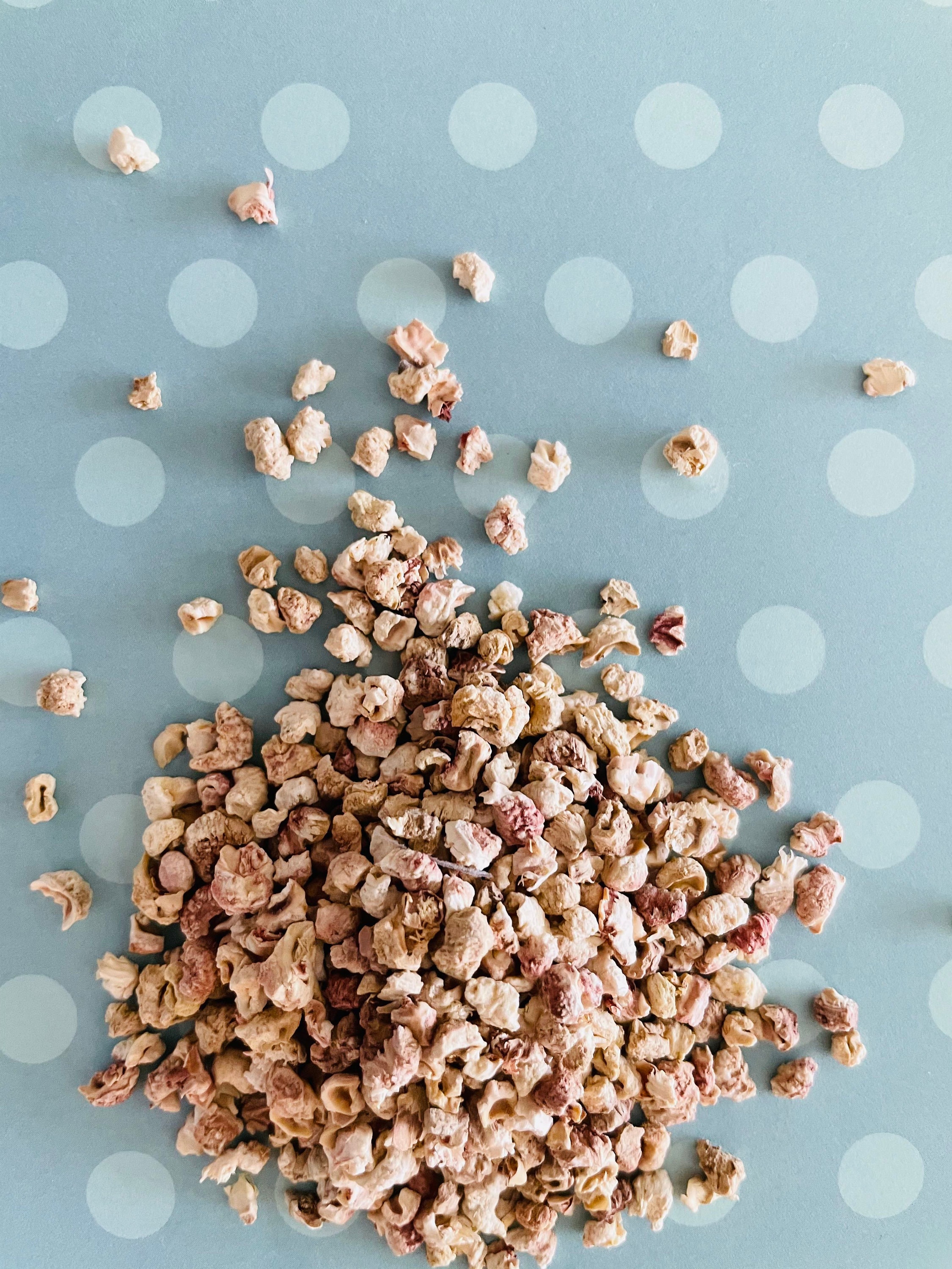 Fake Nut Topping Fake Nuts for Fake Baking Caramel Apples Etsy