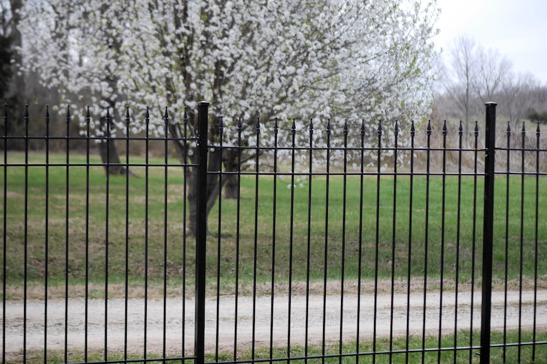 Deluxe Wrought Iron Fence Panels Made With Solid Square Etsy