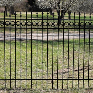 Wrought Iron Fence Panels with Solid pickets, and Rings