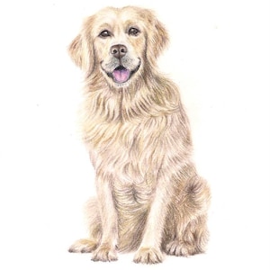 Carte de fête des mères golden retriever. Cadeau de fête des mères. Carte de maman chien. Amoureux des chiens et des animaux, anniversaire, fête des mères, perte d'animaux, crèche, bébé,