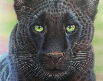 Panther original art  wildlife art print . Colourful Wildlife art. Colourful art. Christmas gift. Animal art. Big cat art. Green wall decor.