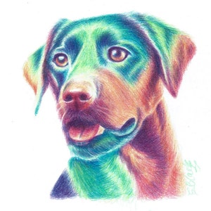 Carta Labrador. Biglietto d'auguri per il labrador. Scheda di perdita del labrador. Stampa Labrador. Tessera smarrimento animali domestici. Divertente biglietto per cani. Stampa vivaio. Stampa della scuola materna per cani.