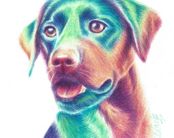 Tarjeta de Labrador. Tarjeta de cumpleaños de Labrador. Tarjeta de pérdida de Labrador. Impresión de Labrador. Tarjeta de pérdida de mascota. Tarjeta divertida de perro. Impresión para habitación de bebé. Impresión de perro para habitación de bebé.