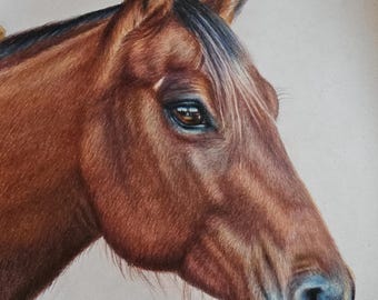 Horse art, equine art. Horse portrait. Fathers Day gift, memorial gift. nature art. wall art, decor gift, chestnut horse. Gifts for pets.