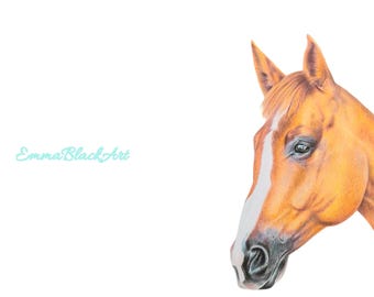Horse card. Horse birthday card. Horse art. Horse print. Nursery print. Horse Nursery print. Wildlife. Animal lover. Animal art. Animal card