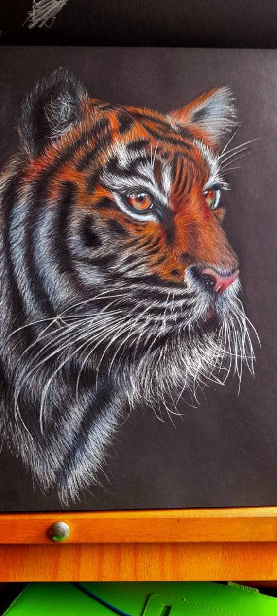 Tiger Artwork Original. A4 Black Paper Drawing. Wildlife, Animal