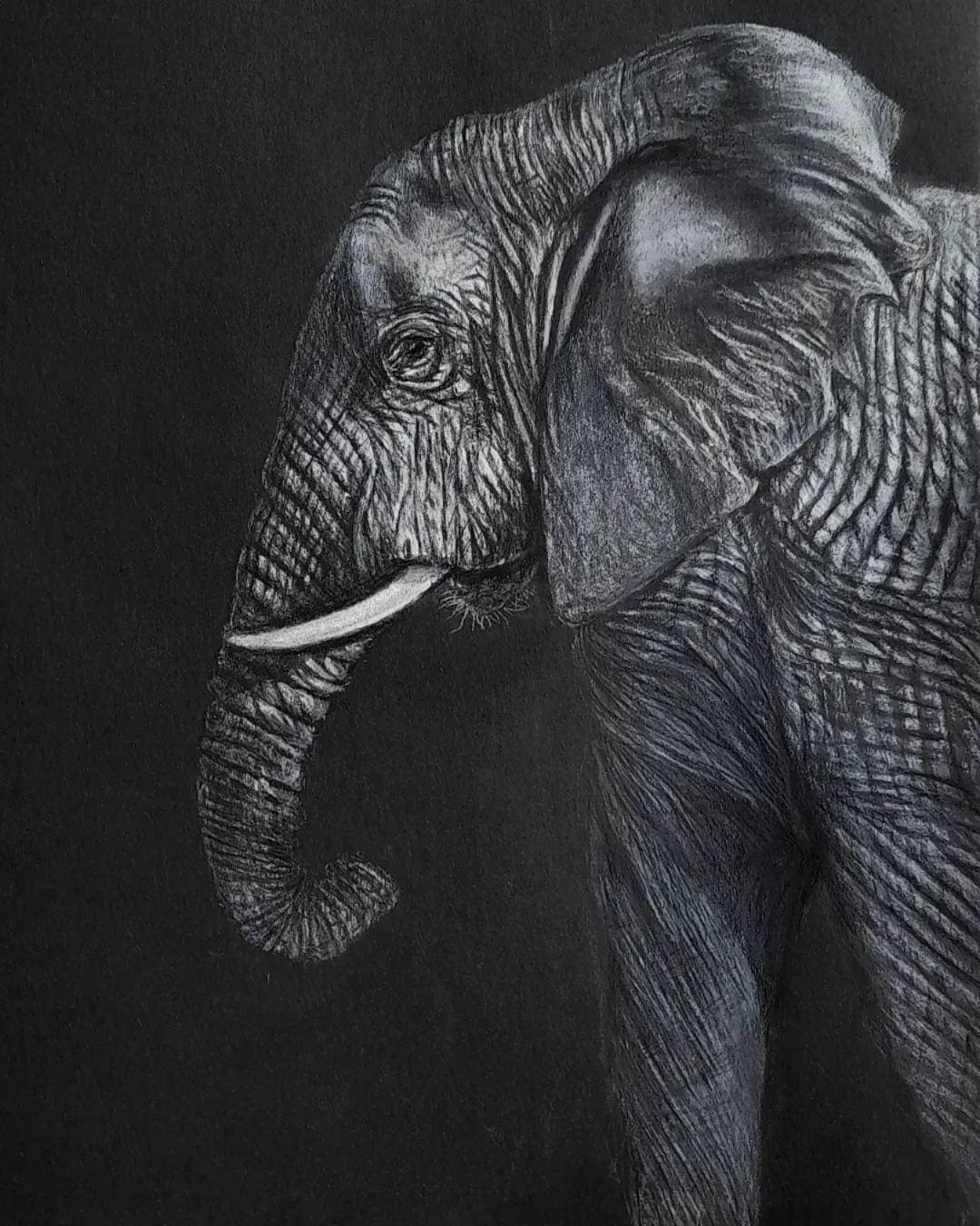 Elephant Black and White Art A4. Monochrome Home Decor. Nature
