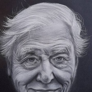 David Attenborough charcoal black and white original art. Monochrome home decor. Nature  wildlife love, animal, earth. Christmas gift idea