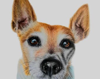 Terrier card, dog card. Terrier mum card. Dog card. Dog owner gift. Dog Birthday card. dog loss card, pet owner, animal lover, pet card .