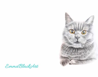 Bsh card. Cat birthday card. Cat art. Cat print. Nursery print. BSH Cat print. Catlover. Cat art. Pet loss card. Grey cat card. Grey cat art