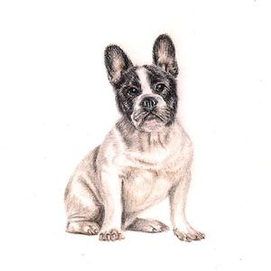 Französische Bulldogge Karte. Muttertagskarte. Hundemama Karte. Frenchie Karte. Haustier Muttertagskarte. Haustier-Karte. Hundekarte. Lustige Valentinstagskarte. Süße Karte