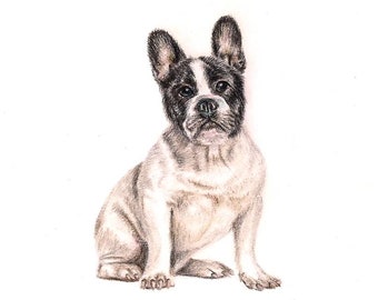 French Bulldog card. Mothers day card. Dog mum card. Frenchie card. Pet mothers day card. Pet card. Dog card. Fun valentines card. Cute card