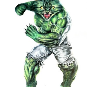Marvel Superhero. Cat art. pet cartoon. Custom Superhero picture. Thor, Hulk, Iron Man, Spiderman, captain america, comics. kids room, fun