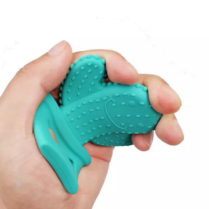 cactus silicone teether