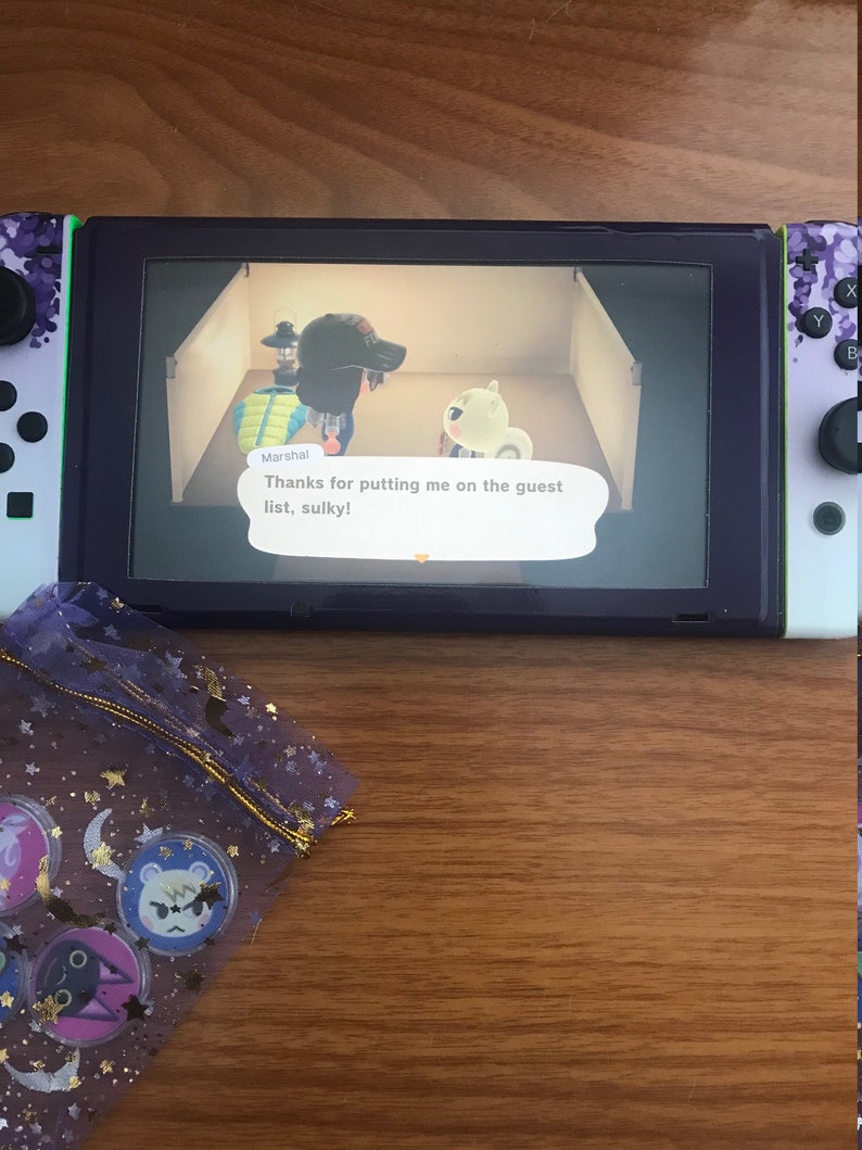 Animal Crossing Custom Amiibo Coins FREE GIFT! Buy 5 Get 1 Free
