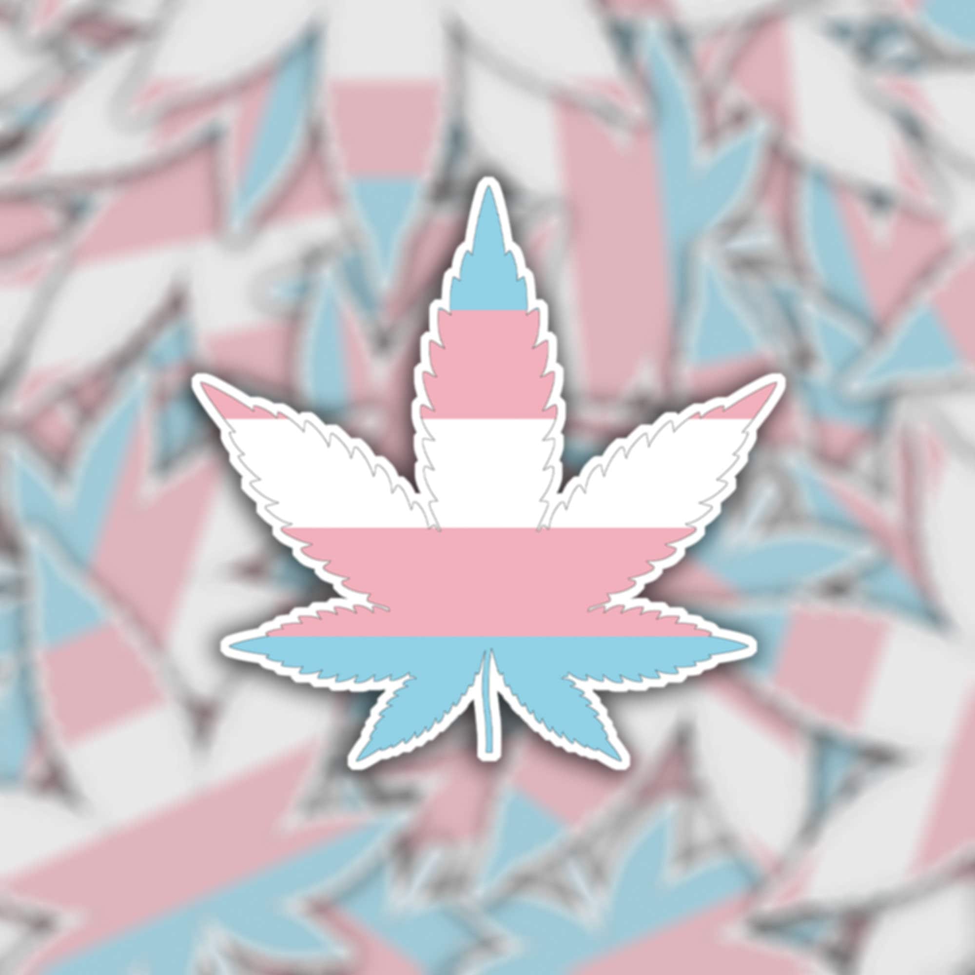 Etiqueta engomada de la bandera del orgullo de la hoja de cannabis trans -  pegatina o imán impermeable de vinilo / LGBTQ+ / hoja de marihuana weed pot  / bandera del orgullo transgénero - Etsy México, image size:2000x2000