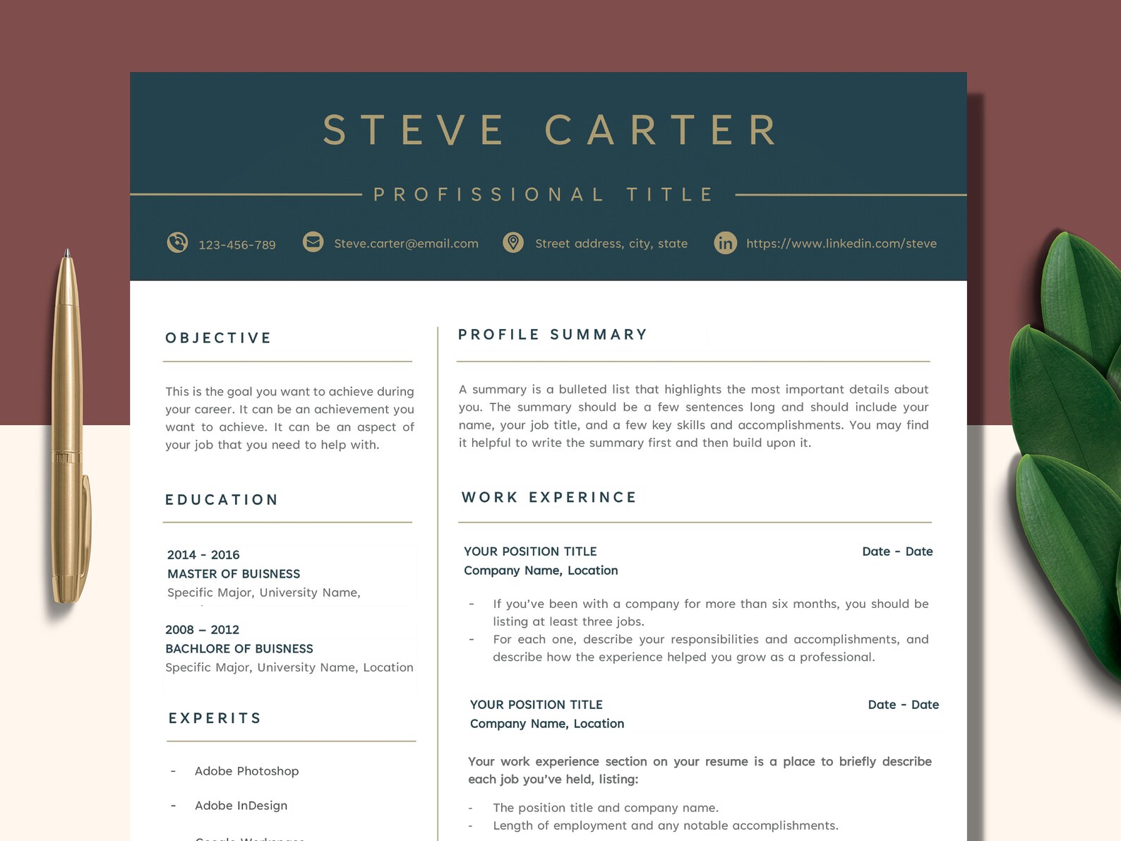 Modern Executive Resume Template 2022, CEO Resume Template for Word ...