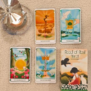 May include: A tarot card deck with five cards visible, including "Ace of Wands", "Ace of Cups", "Ace of Pentacles", and "Ace of Swords". The deck box, titled "Seed of Soul Tarot", is also present. The cards feature colorful illustrations.