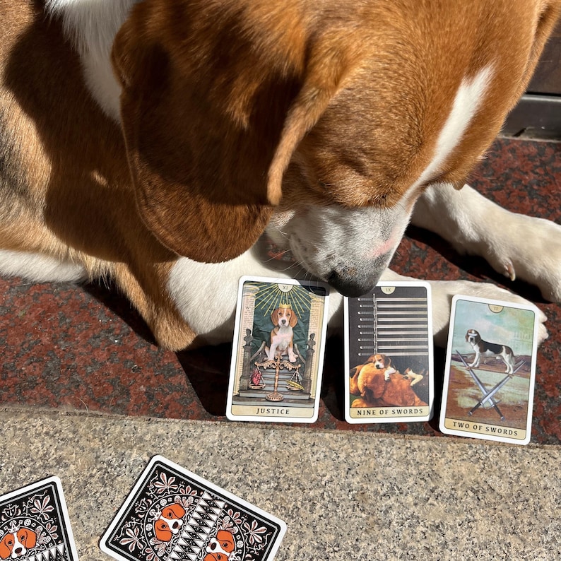 May include: A beagle dog looks at tarot cards. Three tarot cards are visible, featuring dog illustrations with titles "Justice", "Nine of Swords", and "Two of Swords". Playing cards with a dog design are in the foreground.