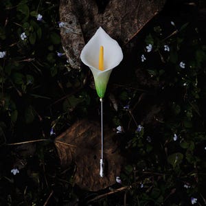 以下が含まれることがあります： 白いカラーの花のブローチ。黄色の雄しべと緑色の基部があり、葉や葉の暗い背景に配置されています。ブローチには、装飾的な端が付いた長いシルバーのピンが付いています。フローラルアクセサリー。
