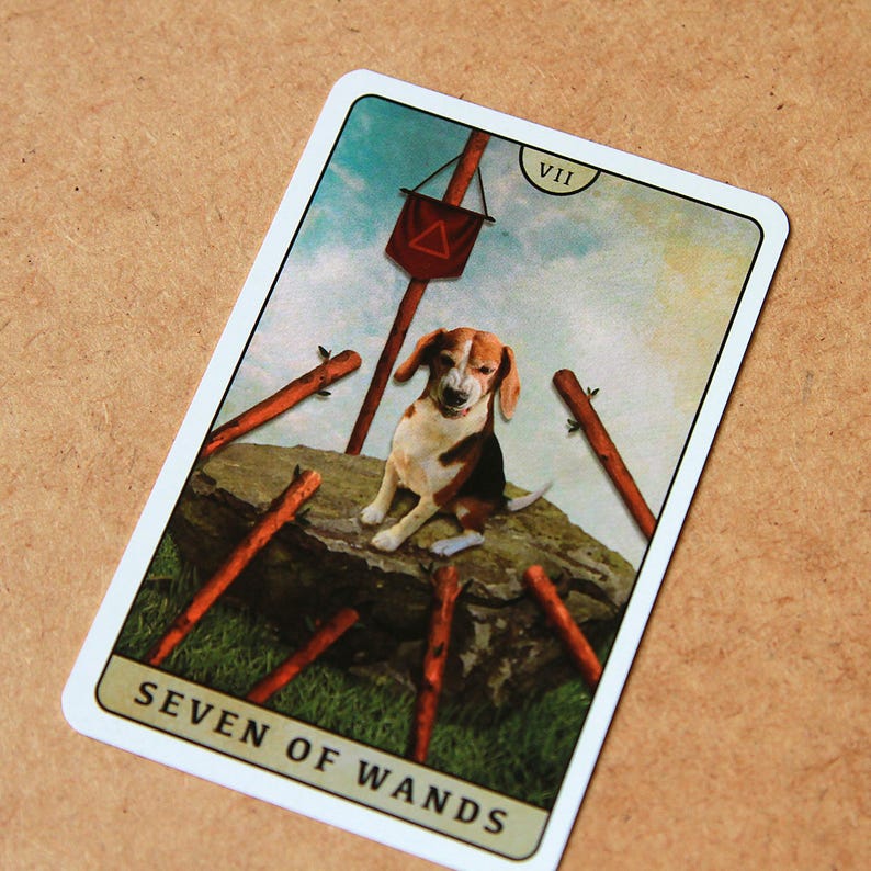 Tarot of Beagle Dogs Rider-Waite Deck for Dog Lovers Custom Tarot Pouch Pet-Friendly Pawsitive Healing Glossy Finish Black Core Cardstock image 11