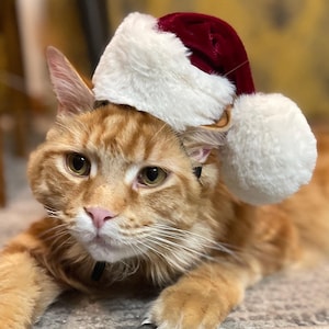 May include: A ginger cat wearing a red and white Santa hat. The cat is lying on a patterned rug.