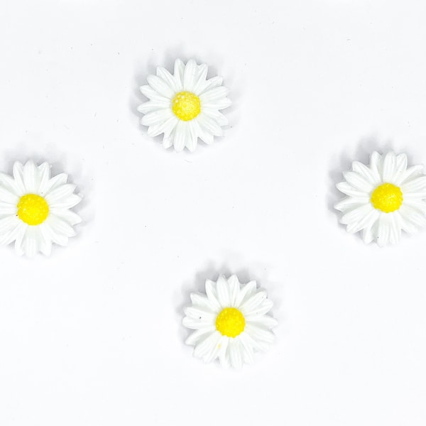 Daisy Flower Fridge Magnets | Aesthetic Refrigerator Magnets | Plant Fridge Magnet Set | Cute Fridge Magnets