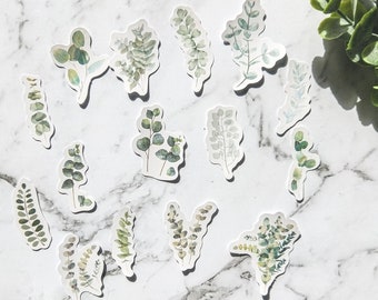 Eucalyptus Leaves Sticker Pack | Diecut Plant Stickers