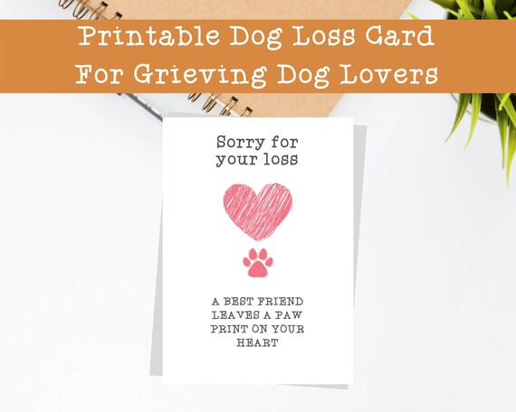 100以上 Sorry For Your Loss Cards Printable Sorry For Your Loss Card Quitting Job Printable Saesipapictr2r 100以上 Sorry For Your Loss Cards Printable Sorry For Your Loss Card Quitting Job Printable Saesipapictr2r