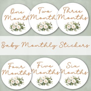 Elegant Baby Monthly Growth Stickers - Milestone Bodysuit Stickers - White Rose Photo Stickers -  Baby Month Stickers - Baby Shower Gift