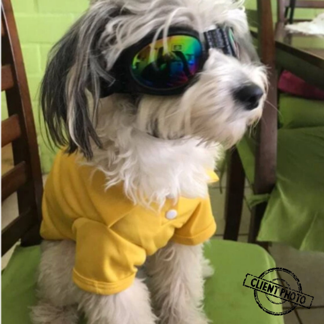 Winddichte Brille für Hunde Winddichte Brille Hundebrille Etsy