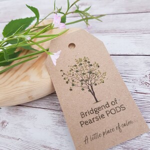 Puede incluir: Una etiqueta de papel marr&oacute;n con una ilustraci&oacute;n de &aacute;rbol verde y el texto "Bridgend of Pearsie PODS... A little place of calm..."