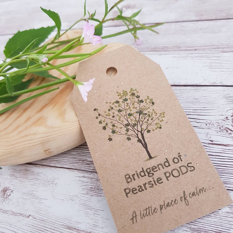 Puede incluir: Una etiqueta de papel marr&oacute;n con una ilustraci&oacute;n de &aacute;rbol verde y el texto "Bridgend of Pearsie PODS... A little place of calm..."