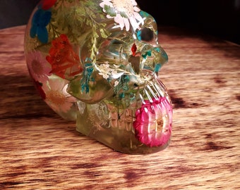 Decorative Skull, Macabre, Halloween, Holidays, Spooky, Fall, Autumn, Unique Gifts, Christmas, White Elephant, Birthday