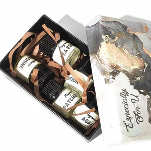 Perfume Sample Set | 6 Unisex Fragrances | Bright Citrus, Foggy Forest, Desert Oasis, Calamus, Patchouli Rouge, Dry Wood Tobacco