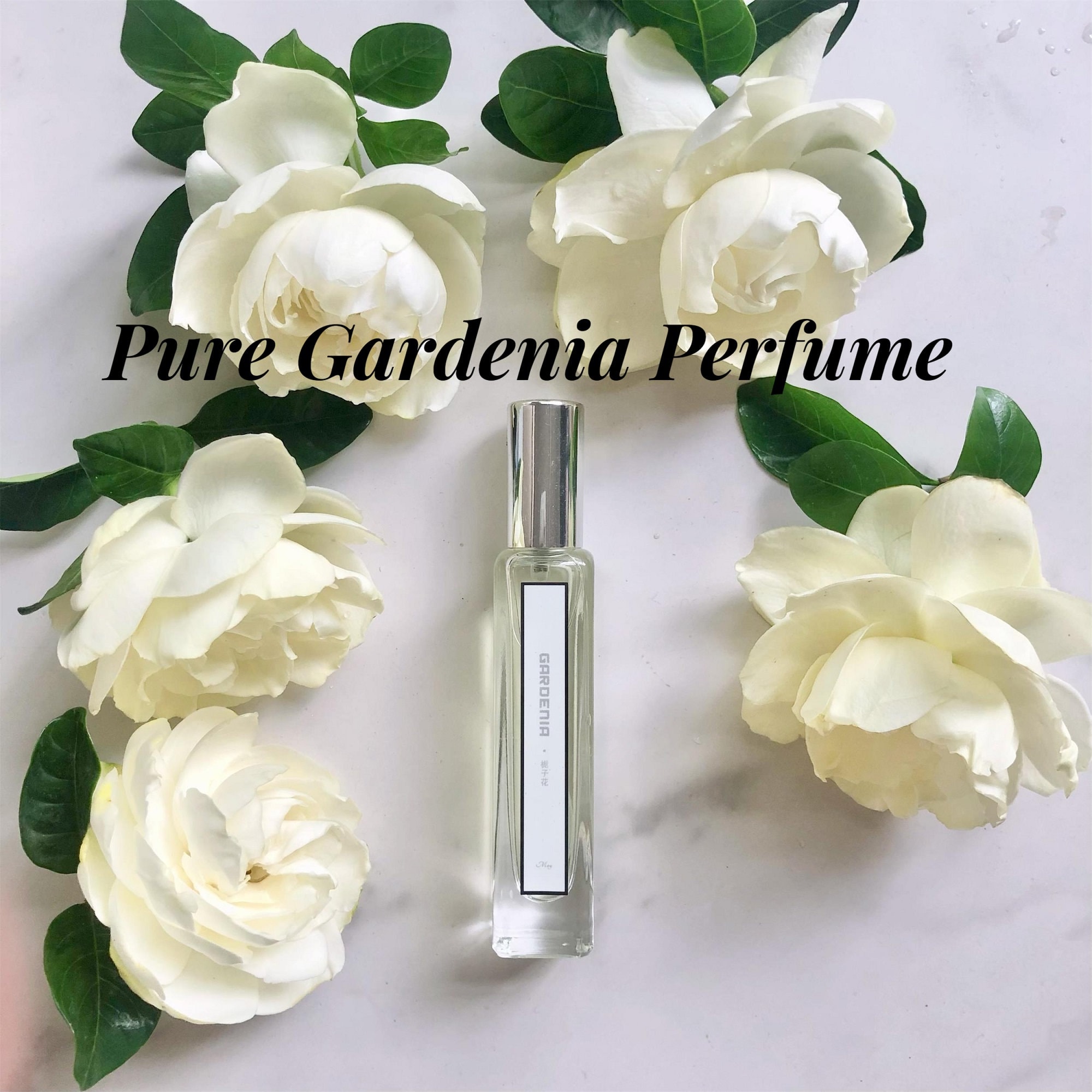 8 Best Gardenia perfume ideas  perfume, gardenia, gardenia perfume
