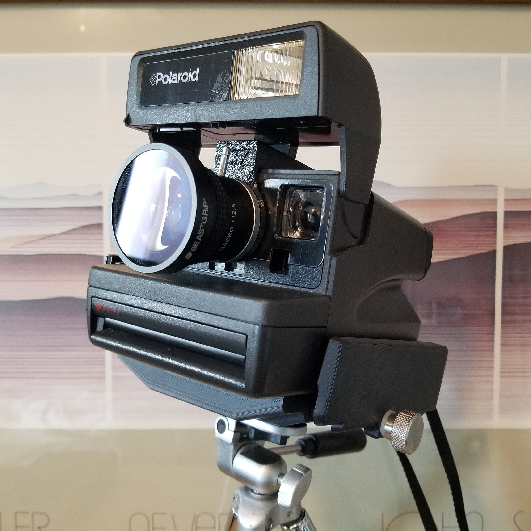 ptz rally camera