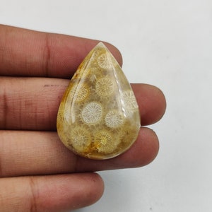 Natural Fossil Coral Cabochon, Beautiful Fossil Coral Cabochon, Discounted Price Loose Fossil Coral Gemstone, Jewelry Making Gemstone.