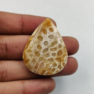 Natürliche Fossil Coral Cabochon, schöne Fossil Coral Cabochon, reduzierter Preis Lose Fossil Coral Edelstein, Schmuckherstellung Edelstein.
