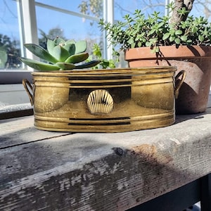 May include: A vintage brass planter with a seashell design, holding a succulent plant. The rectangular planter has two handles and is placed on a weathered wooden surface. Another potted plant is visible in the background.