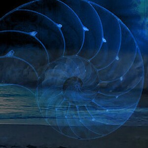 Pode incluir: Uma pessoa está sentada em uma praia à noite, escrevendo em um caderno. O oceano está ao fundo, e um padrão de concha de nautilus azul e branco é sobreposto à imagem.