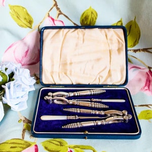 May include: A set of silver nutcrackers and a nut pick in a blue velvet lined box. The tools have mother of pearl handles.